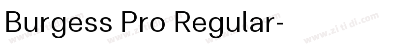 Burgess Pro Regular字体转换